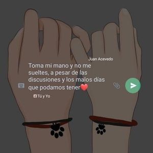 Meet your Posher, Manuel